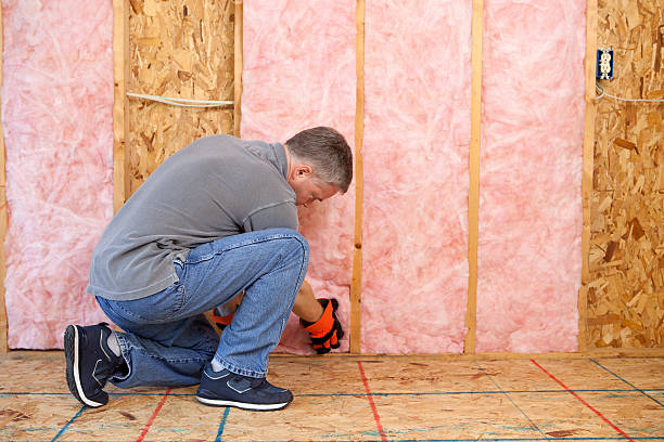 Best Residential Insulation in Medina, NY